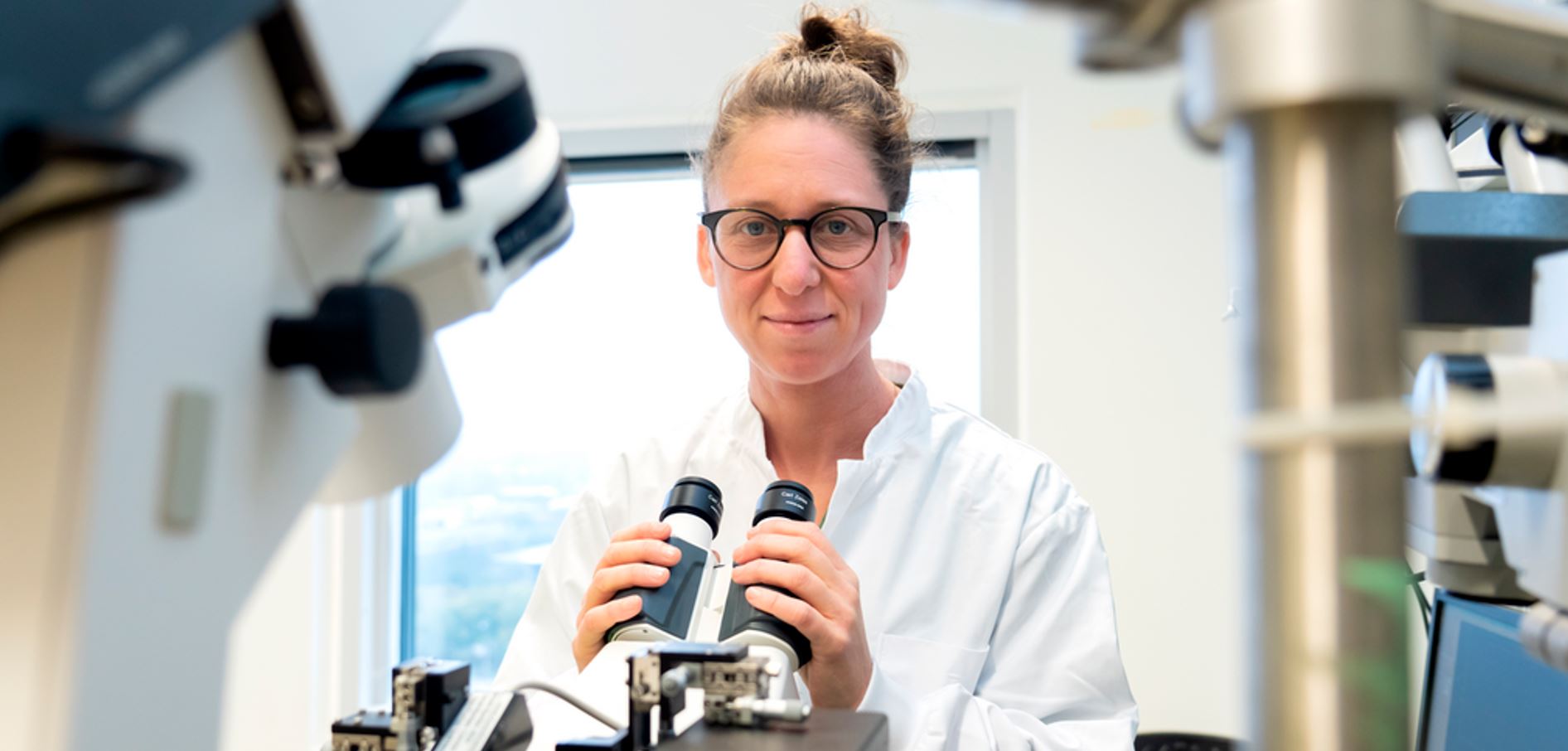 dierenbescherming man kat