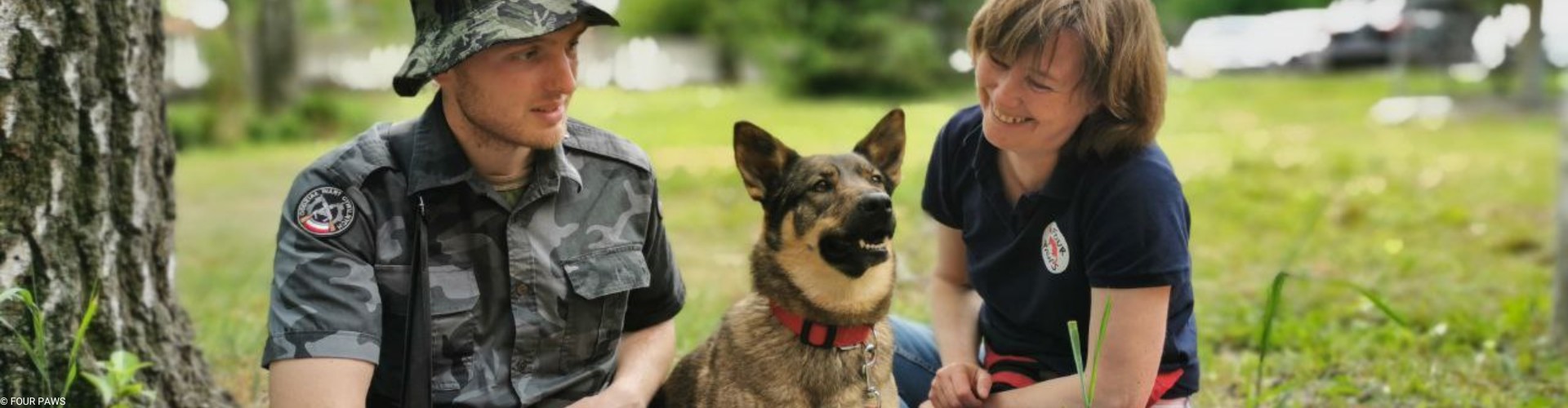 Adopteer hond Busia